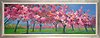 Blossom Time At the Meadows