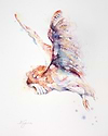 Quiet Hunter - Barn Owl