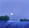 Moon Glow