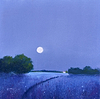 Moon Glow