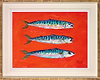 Cadgwith Mackerel