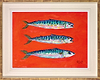 Cadgwith Mackerel