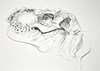 T Rex X