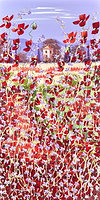 Floral Field