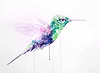Hummingbird II