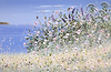 Floral Tranquility II