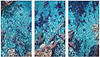 Into the Blue (Triptych)