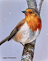 Robin On a Branch