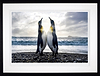 Dare to Hope (Framed)
