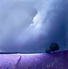 Purple Fields of Lavender