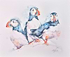 Puffin Trio