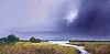 Marshes under the Cloud