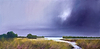 Marshes under the Cloud