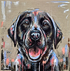 Happy Lab