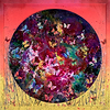 Butterfly Circle