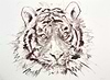 Tiger V (Study)
