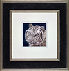 White Wonder (Framed)