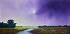 Standish Wetland