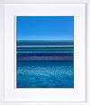 Vivid Sea