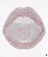 Kiss Me
