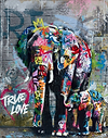 True Love - Elephant