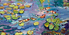Jeffrey's Koi Carp