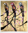 Polly Folly 22/25