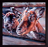 Kids (Framed)