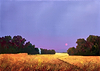 Strawberry Moon