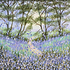 Bluebell Bloom V