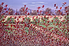 Fields of Poppies III