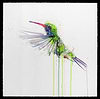 Hummingbird XL Diamond Dust AP