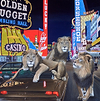 Kings of Vegas