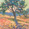 Olive Tree