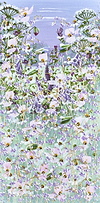 Summer Wildflowers