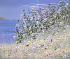 Wildflowers by the Coast IV