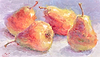Pears in the Light