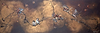 Sweet Sparrows
