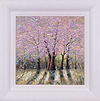 Awakening Light II (Framed)
