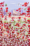 Poppy Field Serenity II