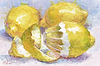 Lemons