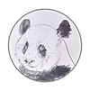 Giant Panda Study II