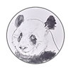 Giant Panda Study II