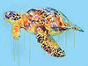 Sea Turtle