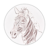 Grevy's Zebra Sketch