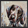 Golden-Eyes (Framed)