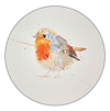 Robin Study VI