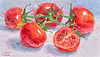 Tomatoes VI