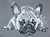 Diamonds Are A Frenchies Best Friend II