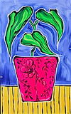 Botanical Pot